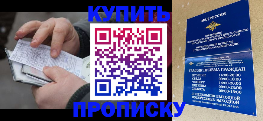 временная регистрация недорого в Луге